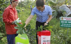 Hưng Yên: Mời nông dân giỏi “cầm tay chỉ việc” dạy nghề