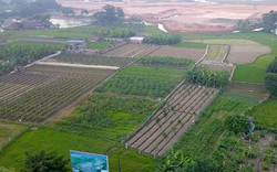 TS Lê Xuân Nghĩa chỉ ra nguyên nhân không thể thế chấp đất nông nghiệp để vay vốn