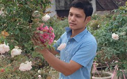 Ninh Bình: Trồng hoa hồng cổ bán Tết, 9X bỏ túi trăm triệu đồng