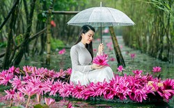 MC xinh đẹp khoe sắc căng tràn giữa bạt ngàn màu tím của hoa súng