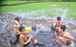 Giếng nước nóng tự nhiên nằm giữa cánh đồng ở Quảng Ngãi