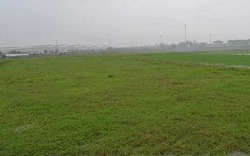 Những cánh đồng không có nông dân, làng toàn người già và sắp già