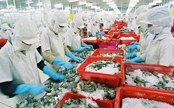 Thực thi EVFTA, mặt hàng nông sản Việt nào sẽ “thắng lớn” tại EU?