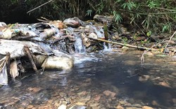 Khởi tố vụ án gây ô nhiễm nước sông Đà