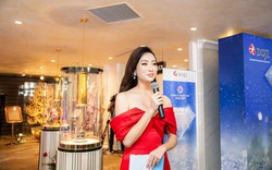 Hoa hậu Lương Thùy Linh rạng rỡ bên những bảo vật kỷ lục của DOJI