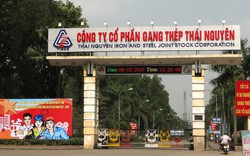 Gang thép Thái Nguyên (TIS): Tổng nợ gấp 4 lần vốn chủ sở hữu