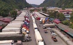 Bộ NNPTNT chỉ đạo khắc phục tình trạng ùn ứ nông sản ở cửa khẩu Tân Thanh