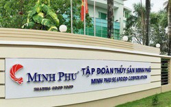 ‘Vua tôm’ Minh Phú vẫn lao đao