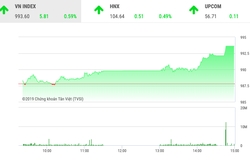 Thị trường chứng khoán hôm nay 24/10: VnIndex bất ngờ thăng hoa nhờ VCB, MWG 
