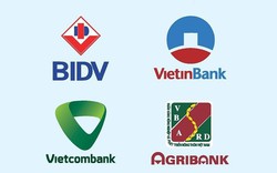 Cuộc đua ngân hàng số 1 Việt Nam, BIDV giảm "phong độ" cộng với Agribank chưa bằng Vietcombank