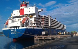 Tập đoàn Cảng Hạ Môn muốn mở tuyến container tại cảng Vũng Áng tới Hạ Môn
