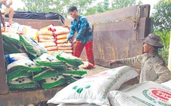 Hỗ trợ nông dân Hà Tĩnh mua hơn 3.500 tấn phân Lâm Thao chậm trả
