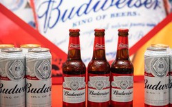 Nhà sản xuất lớn nhất thế giới muốn Budweiser chiếm lĩnh thị trường bia Việt