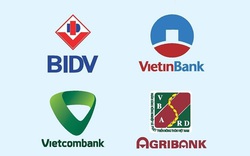 Đề xuất dùng ngân sách tăng vốn chưa được Quốc hội thông qua, Agribank và Vietinbank gặp khó