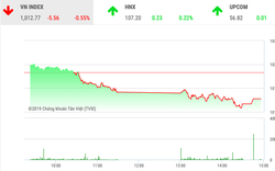 Thị trường chứng khoán hôm nay 13/11: VnIndex "thủng" mốc 1.015 điểm