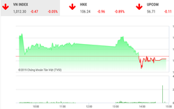 Thị trường chứng khoán hôm nay 14/11: FPT khiến VnIndex chìm trong sắc đỏ 