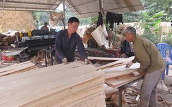 Kim ngạch xuất khẩu tăng phi mã, gỗ dán Việt liên tục bị điều tra xuất xứ