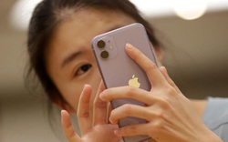 Doanh số Apple tăng 6% nhờ iPhone 11