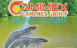 Camimex Group giảm mạnh kế hoạch kinh doanh 2019