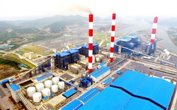 Đấu giá 51,4 triệu cổ phiếu Nhiệt điện Quảng Ninh, SCIC dự thu hơn 1.200 tỷ đồng