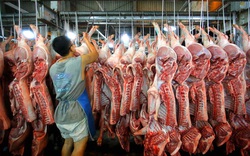 Thiếu khoảng 200.000 tấn thịt lợn dịp cuối năm