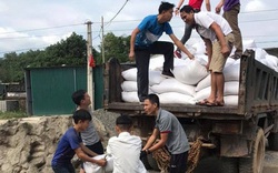 Cấp hơn 300 tấn gạo hỗ trợ học sinh vùng đặc biệt khó khăn ở Quảng Ninh 