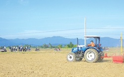 Điểm sáng nông thôn mới Ninh Phước