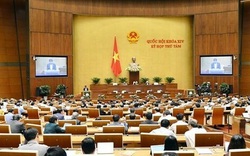 Hà Nội sẽ không tổ chức Hội đồng nhân dân cấp phường?