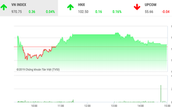 Chứng khoán ngày 29/11: Chỉ số VnIndex may mắn giữ lại sắc xanh 