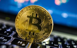 Giá Bitcoin sắp "lên đỉnh" trở lại?