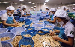 Khắc phục hạn chế về chế biến sâu để nâng tầm nông sản Việt