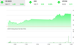 Thị trường chứng khoán ngày 12/12: Sắc xanh mướt của cổ phiếu ngân hàng phủ lên VnIndex 