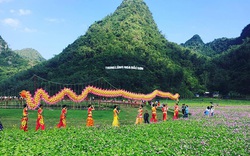 Thung lũng hoa lớn nhất Việt Nam đóng cửa sau 2 năm hoạt động
