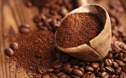 Thị trường cà phê: Giá xuống thấp, nông dân "ghim" hàng
