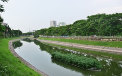 Phương án tối ưu hồi sinh sông Tô Lịch