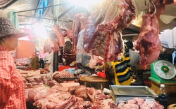 Giá lợn hơi có thể vượt mốc 100.000 đồng/kg, Bộ NN&PTNT nói gì?