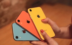 Bỏ xa các đối thủ, iPhone XR là smartphone bán chạy nhất toàn cầu quý III/2019