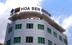 Hoa Sen Group (HSG) chuẩn bị ‘đón đầu’ nguyên liệu giá rẻ trở lại, tình hình dooanh nghiệp có cải thiện