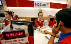 Một ngân hàng Hà Lan xem xét rót 40 triệu USD vào HDBank