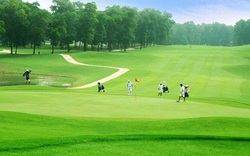 Cho phép làm 2 sân golf ở Quảng Nam và Lào Cai hơn 1.000 tỉ đồng