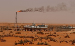 OPEC+ nhất trí giảm sâu sản lượng khai thác dầu tới 1,7 triệu thùng/ ngày