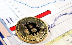 Thị trường tiền ảo 9/12: Bitcoin vẫn đang "mắc kẹt"?