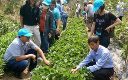 “Ngả mũ” với cách tiếp thị sản phẩm của nông dân Thái Lan