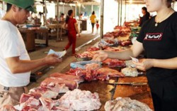 Giá lợn hơi Lào Cai tăng gần 10.000 đ/kg, lợn ngon giá 52.000 đ/kg