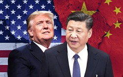 Trung Quốc tính "mượn tay" WTO trả đũa Mỹ: Quân bài mới trên bàn đàm phán?