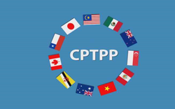 7 tháng thực thi CPTPP: Cán cân thương mại tăng trưởng tích cực