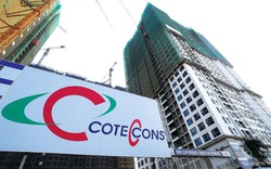 Năm khó khăn của Coteccons: Lợi nhuận sụt giảm, doanh thu tăng trưởng âm