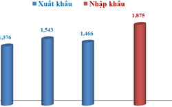 Nhập siêu hơn 400 triệu USD trong 15 ngày đầu năm 2020