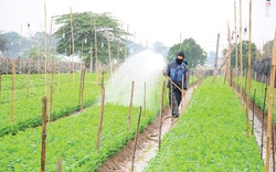 Lập Thạch "băng băng" về đích nông thôn mới