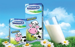 Vinamilk: Lợi nhuận "hụt hơi" quý IV, vay nợ tăng trên 4 lần  